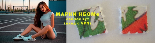 apvp Бородино