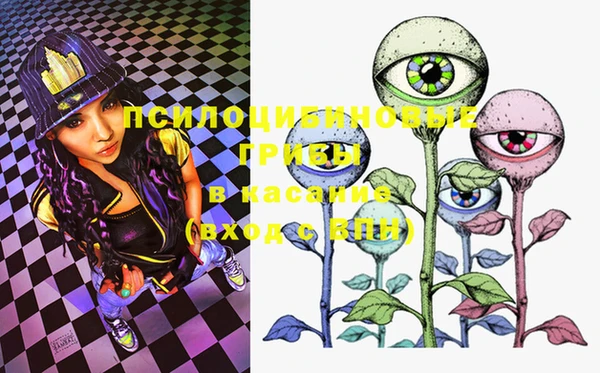 MDMA Premium VHQ Бронницы