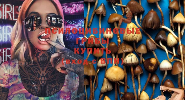 MDMA Premium VHQ Бронницы
