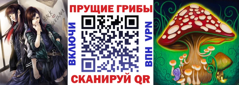 Псилоцибиновые грибы Psilocybine cubensis  Сургут 